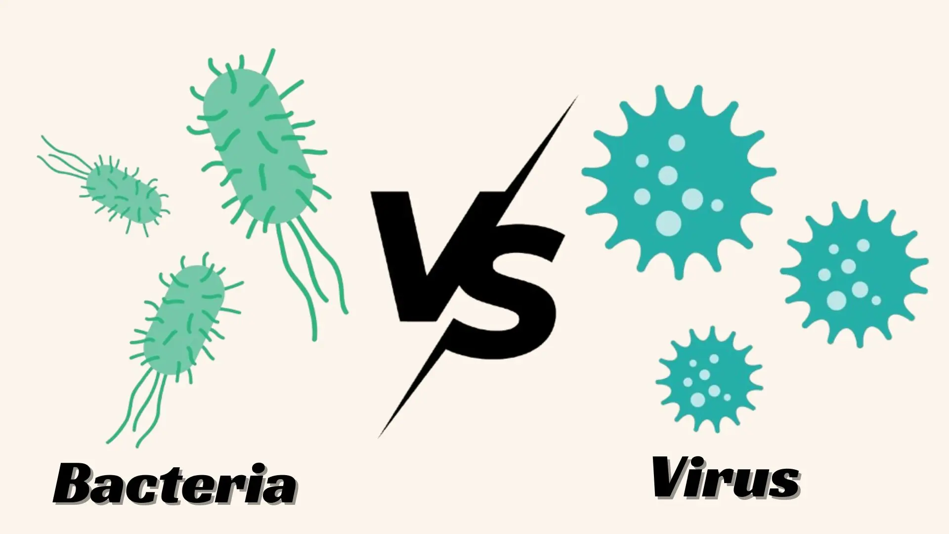 Differences Between Bacteria and Virus