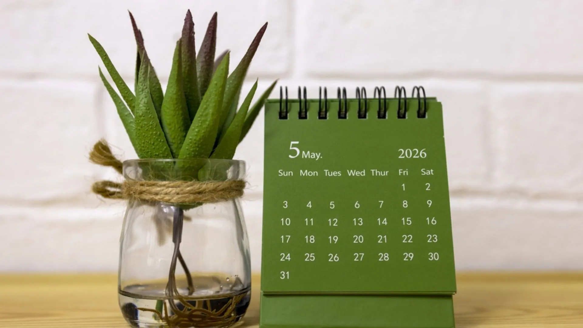 Important Days in May 2026
