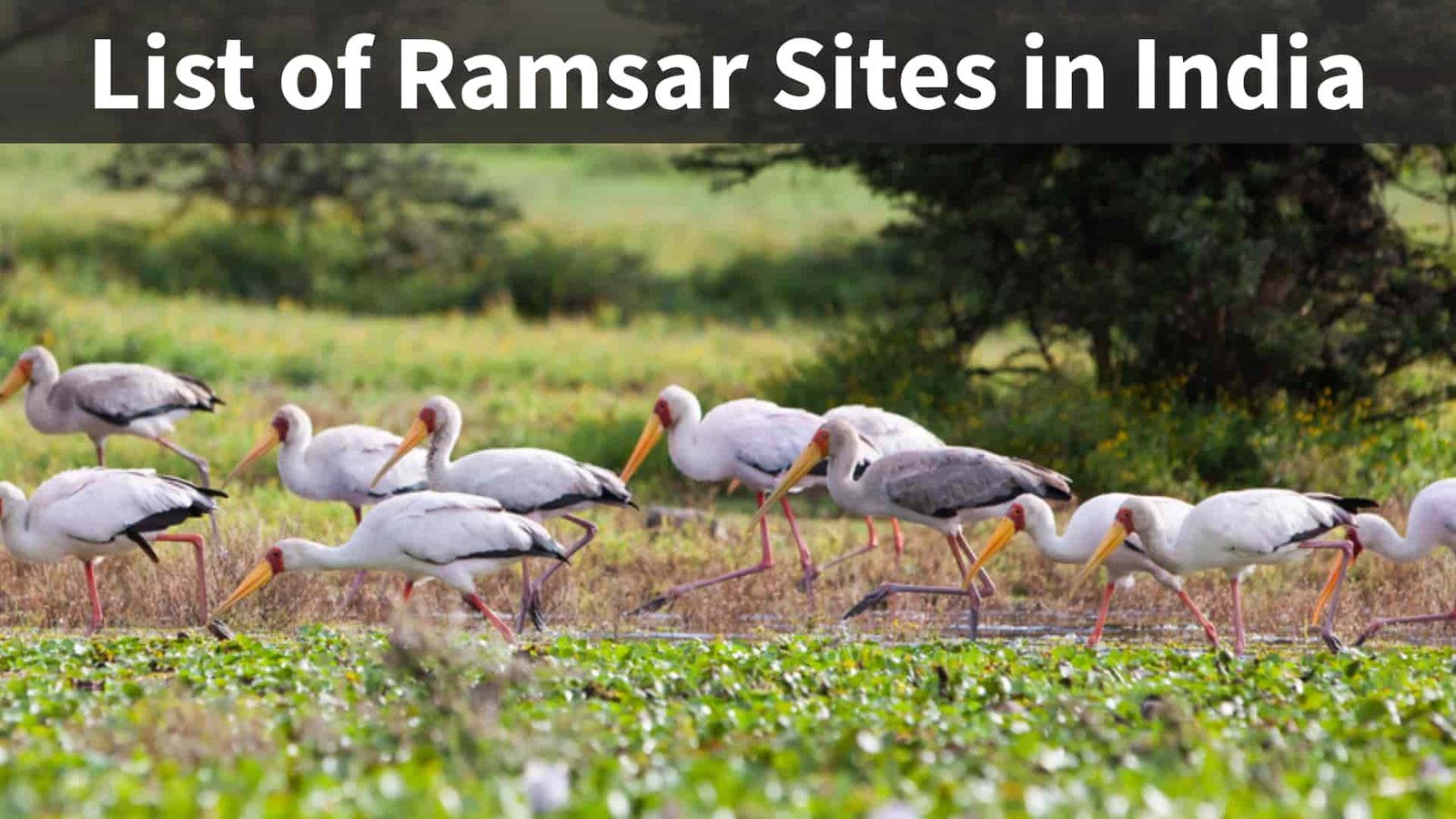 List of Ramsar Sites in India