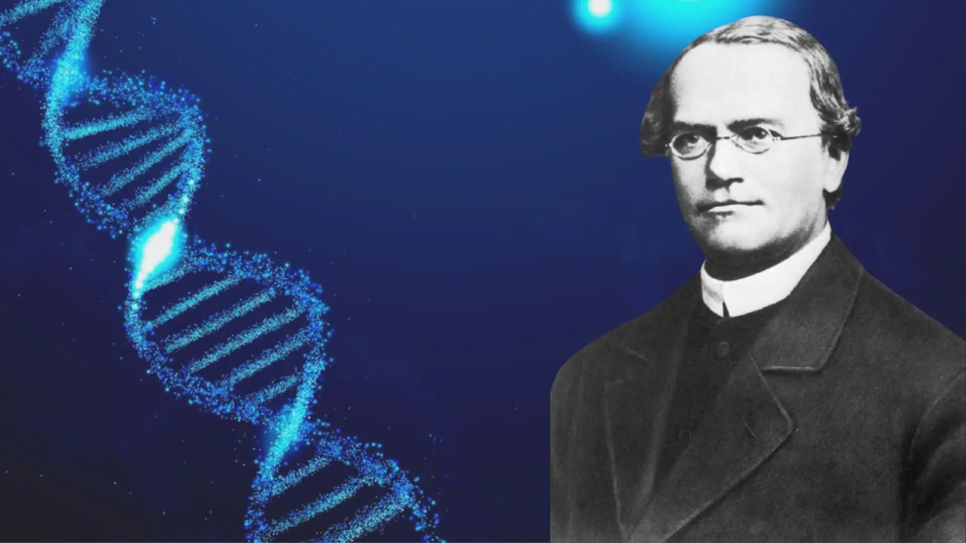 Father of Genetics